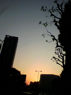 b0174079_1875033.jpg