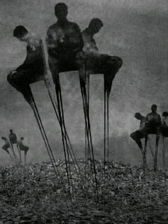 f0100480_1751838.jpg