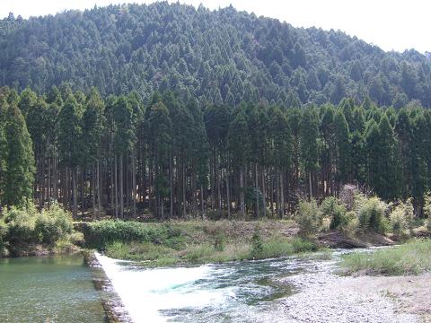f0167281_13401490.jpg
