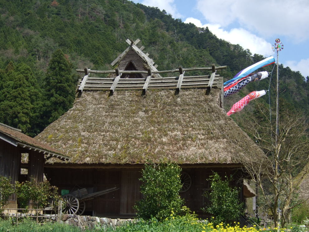 f0167281_13504780.jpg