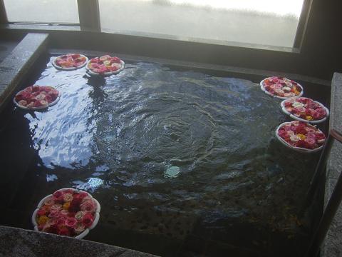 f0167281_1373386.jpg