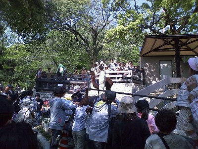 b0042882_2101449.jpg