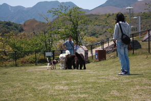 e0162984_15314132.jpg