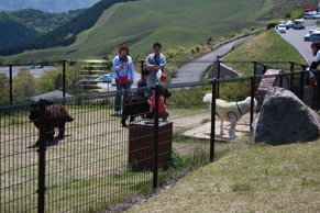 e0162984_16391237.jpg