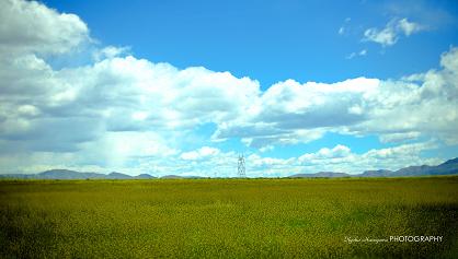 e0148185_23522398.jpg
