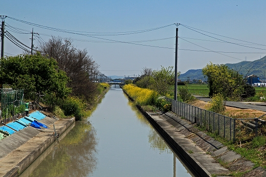 e0190885_18445137.jpg