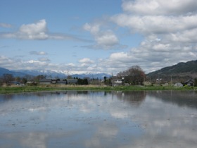 a0034487_1838038.jpg