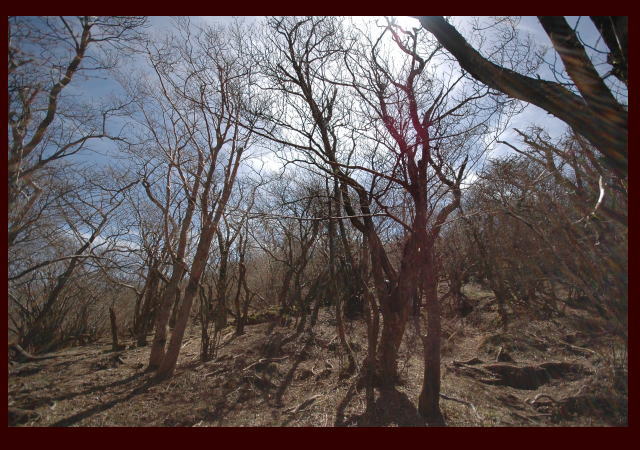 d0064387_19232379.jpg