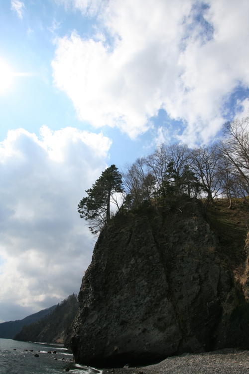 d0082288_18345859.jpg