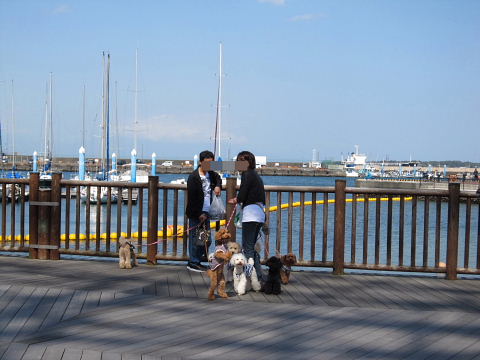 b0104592_16425463.jpg