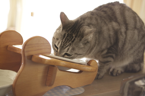 もぐもぐ もぐもぐ食べるお嬢さん
