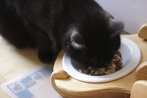 ウマウマ うまうま食べる小僧