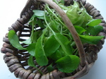 c0228393_2311642.jpg