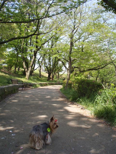f0130894_22331574.jpg