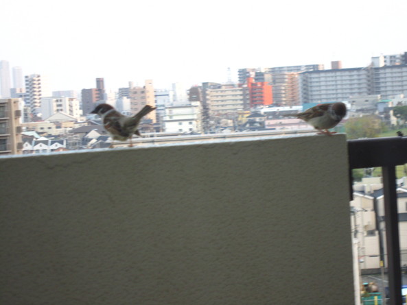 f0204295_17201936.jpg
