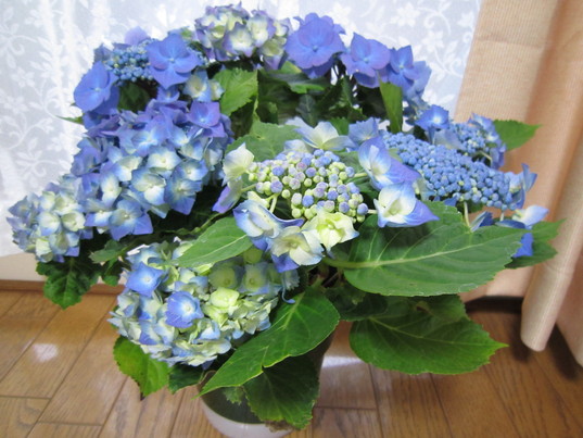 f0204295_178069.jpg