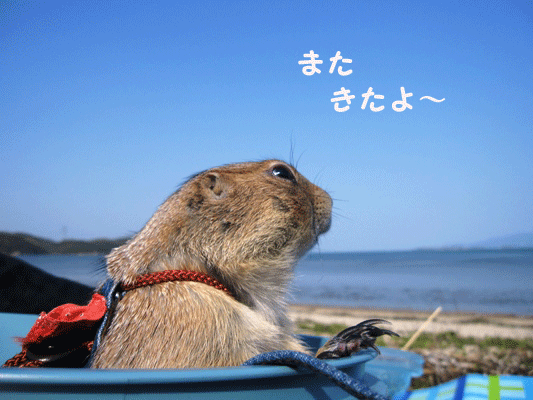 c0173697_23252724.gif