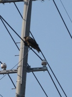 c0173697_23293064.jpg