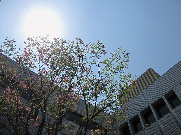 f0033598_1985339.jpg