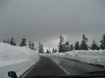 a0117599_0264347.jpg
