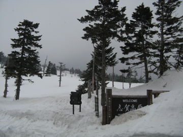 a0117599_0275849.jpg