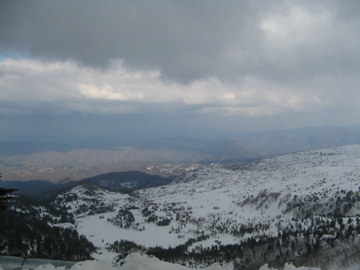 a0117599_0302161.jpg