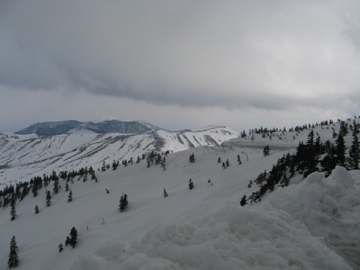 a0117599_0541041.jpg
