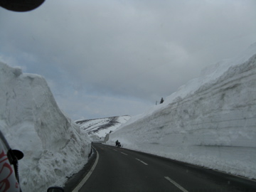 a0117599_0565925.jpg