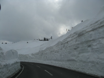 a0117599_056738.jpg