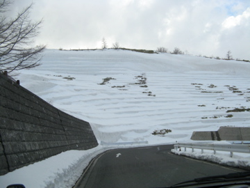 a0117599_058587.jpg