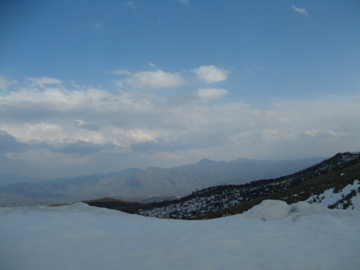 a0117599_10131.jpg