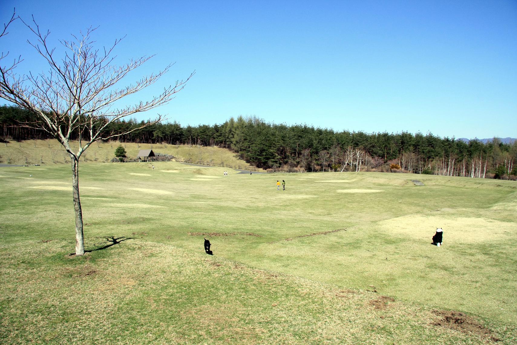 f0034602_18454044.jpg