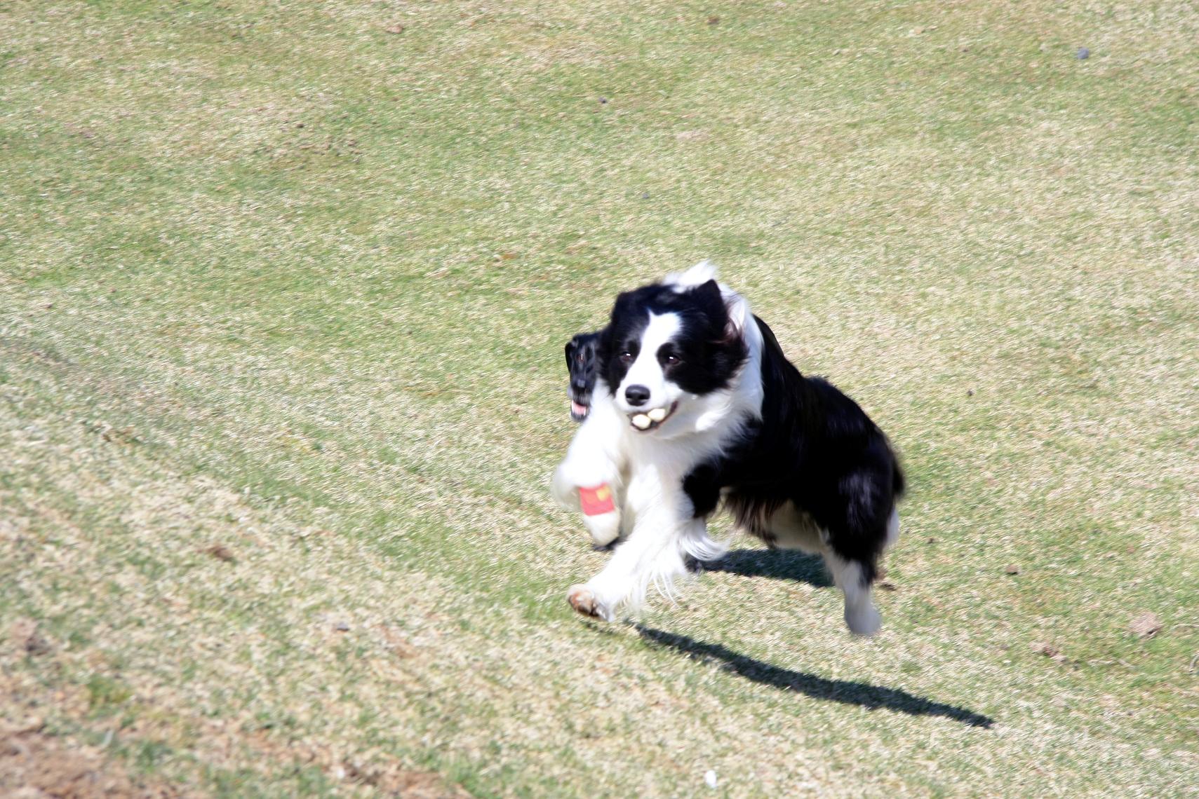 f0034602_18472623.jpg