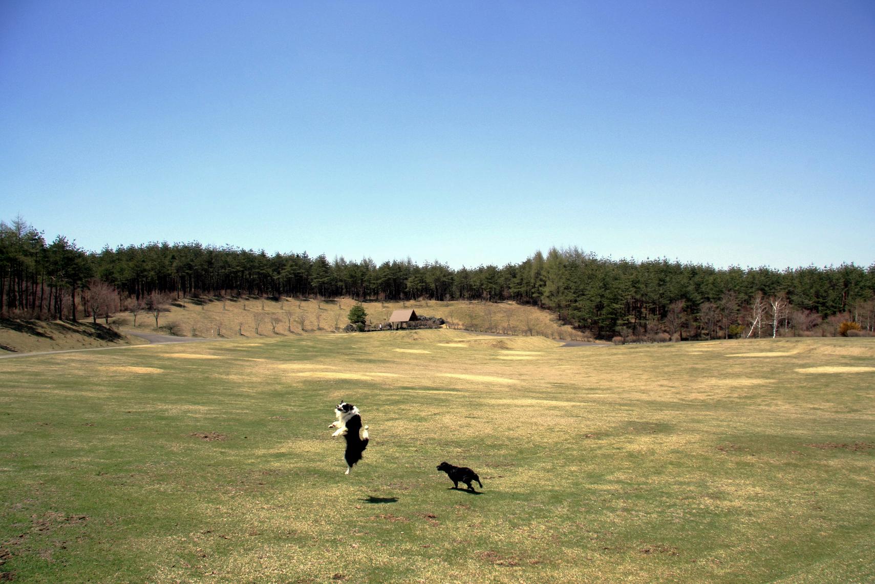 f0034602_1848360.jpg