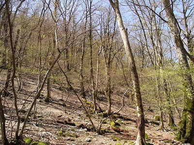 f0187402_22151788.jpg