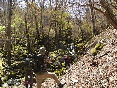 f0187402_2216146.jpg