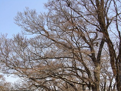 f0187402_22163983.jpg