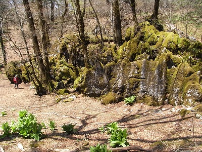 f0187402_22165329.jpg