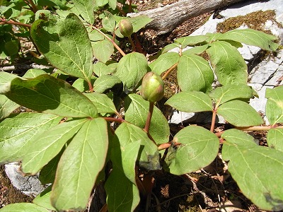 f0187402_2217033.jpg