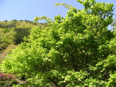 f0187402_2217878.jpg