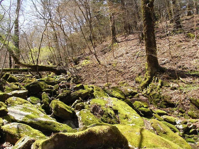f0187402_22194873.jpg