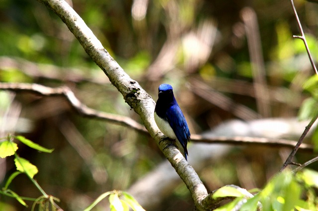 c0213607_20303238.jpg