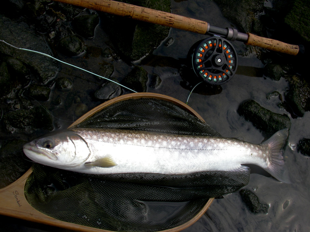 d0051707_2152767.jpg