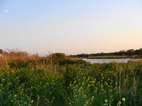 e0123808_026626.jpg