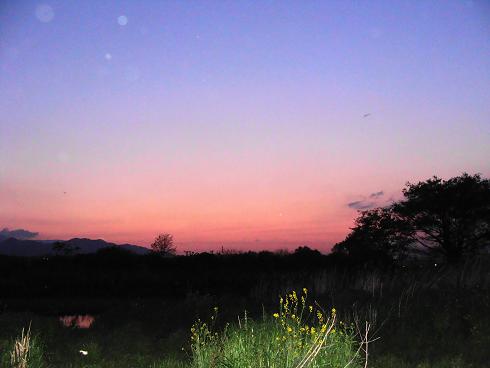 e0123808_0441599.jpg