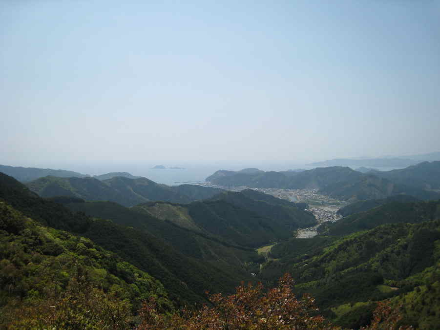 d0154609_2051749.jpg