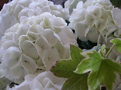 c0190010_2111379.jpg
