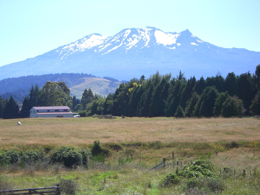 e0167411_16364441.jpg