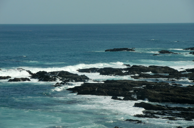 b0130112_1682143.jpg
