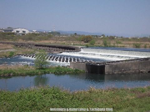f0167314_221422.jpg